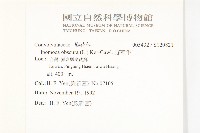 野牽牛藏品圖，第2張