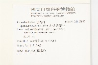 野牽牛藏品圖，第2張