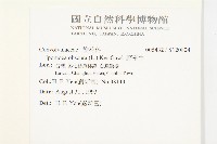 野牽牛藏品圖，第2張