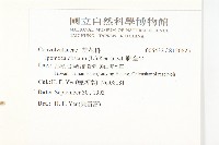 野牽牛藏品圖，第2張