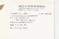 野牽牛藏品圖，第2張