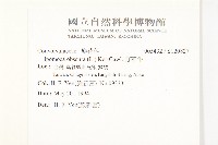 野牽牛藏品圖，第2張