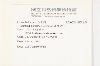 野牽牛藏品圖，第2張