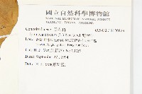 野牽牛藏品圖，第2張