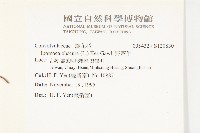 野牽牛藏品圖，第2張