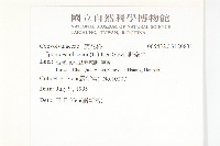 野牽牛藏品圖，第2張