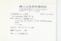 牽牛花藏品圖，第2張