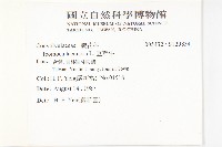 豆牽牛藏品圖，第2張