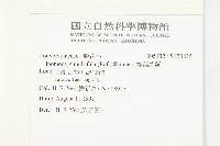 葵葉蔦蘿藏品圖，第2張