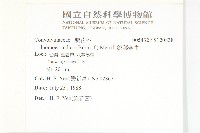 銳葉牽牛藏品圖，第2張