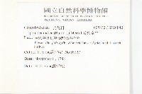 銳葉牽牛藏品圖，第2張