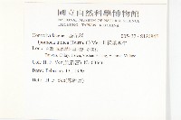 銳葉牽牛藏品圖，第2張