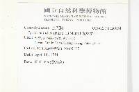 銳葉牽牛藏品圖，第2張