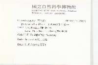 銳葉牽牛藏品圖，第2張