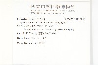 銳葉牽牛藏品圖，第2張