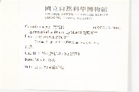 銳葉牽牛藏品圖，第2張