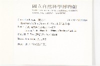 銳葉牽牛藏品圖，第2張