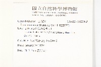 銳葉牽牛藏品圖，第2張