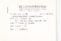 銳葉牽牛藏品圖，第2張