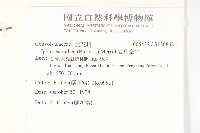 銳葉牽牛藏品圖，第2張