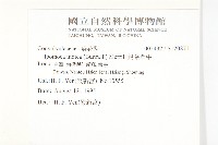 銳葉牽牛藏品圖，第2張