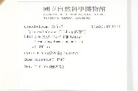 碗仔花藏品圖，第2張