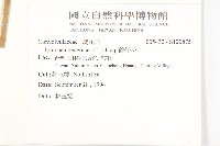 碗仔花藏品圖，第2張