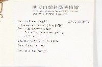 碗仔花藏品圖，第2張