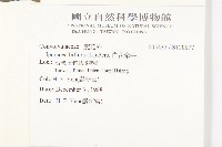 白花牽牛藏品圖，第2張