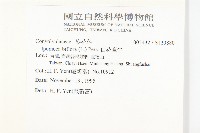 白花牽牛藏品圖，第2張