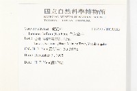 白花牽牛藏品圖，第2張