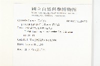 番仔藤藏品圖，第2張