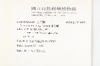 番仔藤藏品圖，第2張