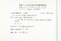 番仔藤藏品圖，第2張