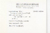 番仔藤藏品圖，第2張