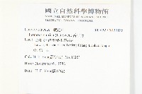 番仔藤藏品圖，第2張