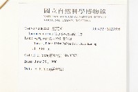 番仔藤藏品圖，第2張