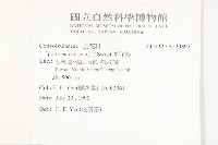 番仔藤藏品圖，第2張