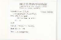 番仔藤藏品圖，第2張