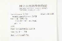 番仔藤藏品圖，第2張