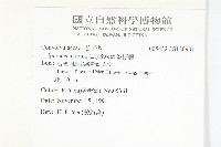 番仔藤藏品圖，第2張