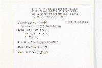 番仔藤藏品圖，第2張