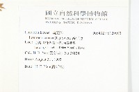 番仔藤藏品圖，第2張