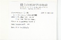 番仔藤藏品圖，第2張