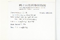 番仔藤藏品圖，第2張