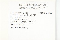 番仔藤藏品圖，第2張