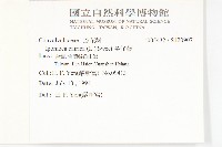 番仔藤藏品圖，第2張