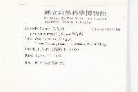 番仔藤藏品圖，第2張