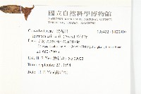 番仔藤藏品圖，第2張