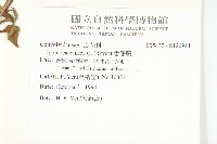 番仔藤藏品圖，第2張